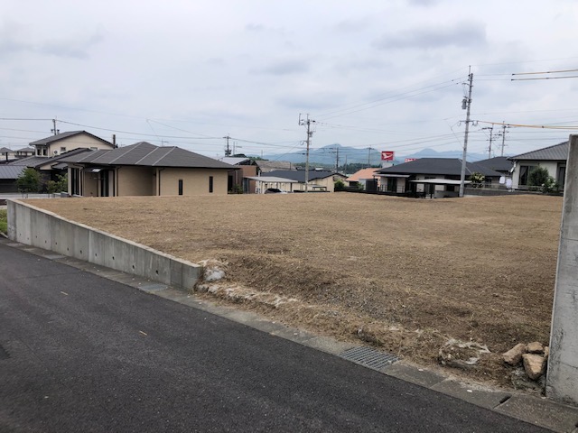 草払い　2022.6.12　.jpg